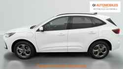 Annonce 489928154/125020301 picto4