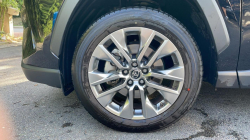 Annonce 490032044/250922-221342 picto6