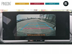 Annonce 490125500/125029769 picto6