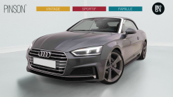 Audi A5 Cabrio 40 Tdi 190 S-Tronic S-Line 45-Loiret