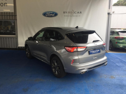 Annonce 490269935/1958868 picto3