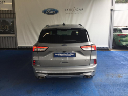 Annonce 490269935/1958868 picto4