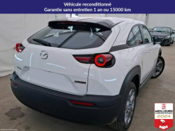 Annonce 490887377/3137233351 picto3