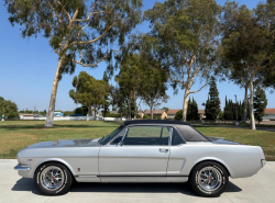 Annonce 490989395/943VT250446 picto3