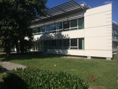 CABINET LANG ET ASSOCIES 33 expert automobile