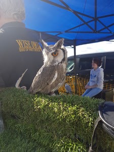 Parking Relais Les Pistes