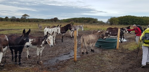 Parking de la Baie d'Authie de Fort Mahon Plage