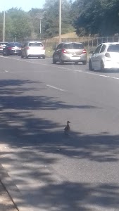 Conservatoire Citroën Héritage - ouverture exeptionnelle les 3, 4 et 5 juin