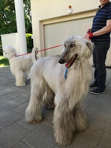 Aire covoiturage Escardalles