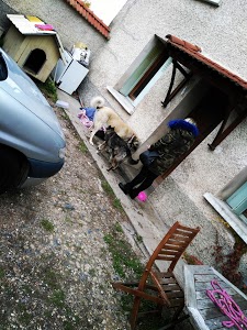 Gare de Peage de montbrison