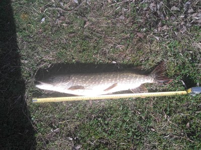 Circuit de karting - MARAIKART