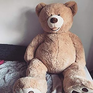 Au Royaume du Roi Soleil