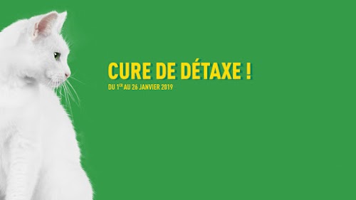 Centre Feu Vert Services LABEGE