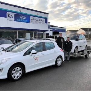 GAILLARD GARAGE EXPERT LIGIER MICROCAR