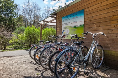 Location de Karts à Pédales