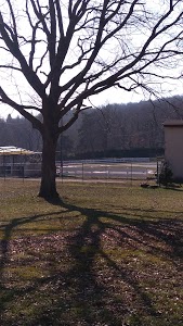 Radio Commande Car Lyonnais