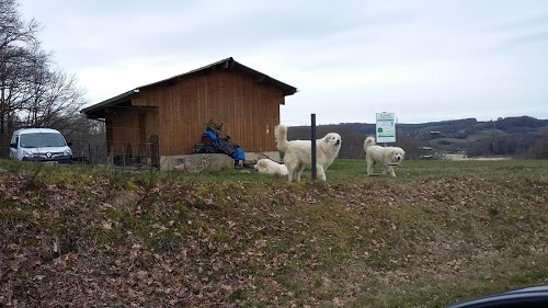 Aire CAMPING-CAR PARK
