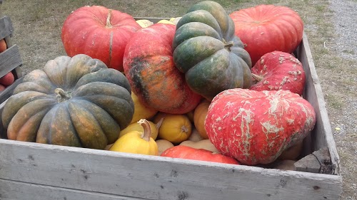 Renault - Dacia Garage Audin La Bégude