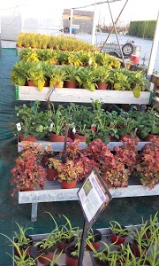 Sarl Sachot Et Naud - Citroën