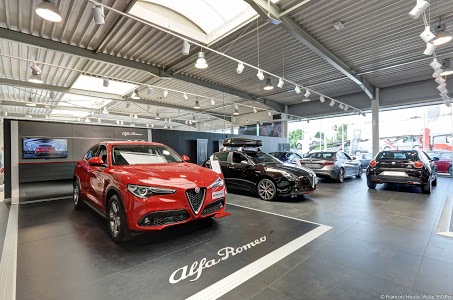 Car Strada Fiat - Alfa Romeo - Jeep