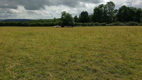 Espace Automobile Pollien