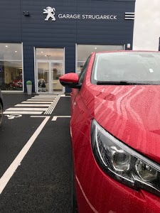 MR STRUGARECK MICHAEL - PEUGEOT