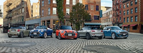 MINI Bordeaux - PAROT Premium