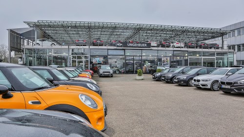 Mini Ungeheuer Automobile Karlsruhe