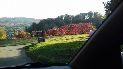 Garage des Pionniers, Romain Nicoulin