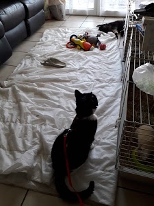 Concessionnaire Ford : Groupe Crepin Automobiles