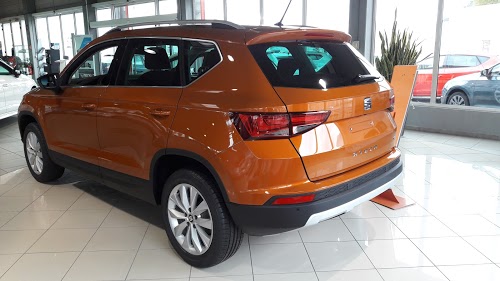 AVENIR AUTOMOBILES SEAT VALENCE