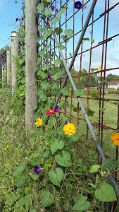 AD Expert Garage Du Gour De L'Arche - Sarl Frugier