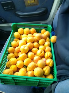 Centre Glass Auto Balarucoise