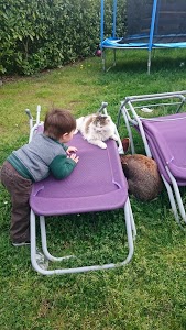 GARAGE SABATIER - Citroën