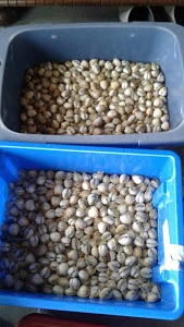 Centre contrôle technique Dekra