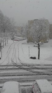 Millauto Losange Forbach