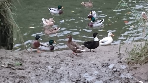 First Stop - Saint Léonard