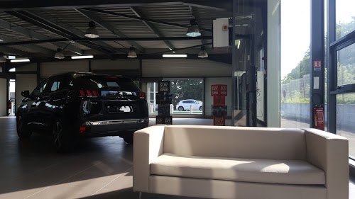 SAS DES GARAGES FRANCOIS PERONNE - Citroën