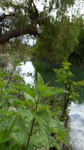 Garage de la Marne carrosserie AD