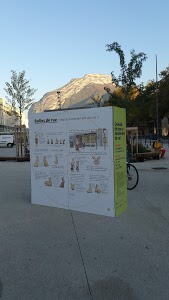 Avis Location de Voiture