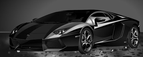 Concept Lavage Piscenois