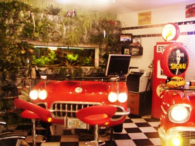 AUTO ECOLE DE LA COTE