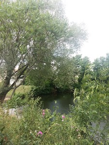 Auto Sécurité - Contrôle technique oblinger