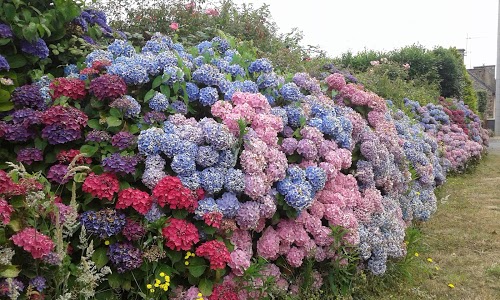 COURTOIS AUTOMOBILES PAIMPOL - PEUGEOT