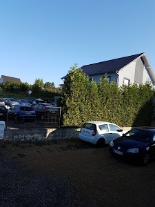 Cm Import Export Autos