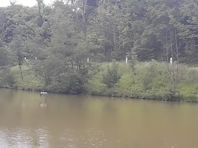 Saint Sardos Automobile