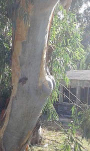 GARAGE MORATI - PEUGEOT