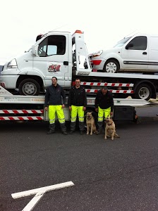 Assistance de remorquage Pineau (Fourri