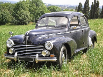 SARL Klaus Hollander