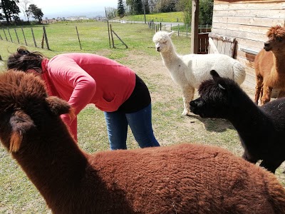 Garage Pelletier Harscoet